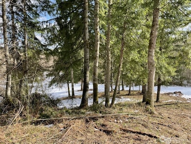 6123 139th Ln SW, Rochester, WA 98579 - photo 3