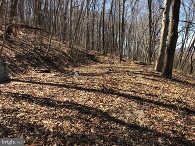 38R Penn St, Lenhartsville, PA 19534 - photo 4