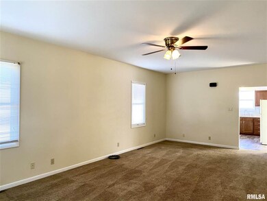 828 Pulaski St, Lincoln, IL 62656 - photo 6