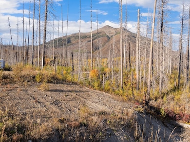 NHN N Lake McDonald Rd, West Glacier, MT 59936 - photo 7
