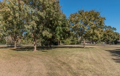 Front Yard 2