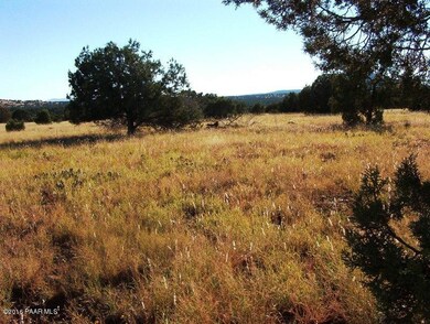 Simonsen vacant land pictures 004