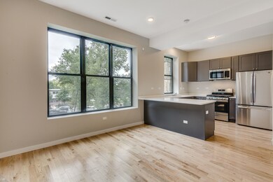 4525 S Evans Ave unit 2, Chicago, IL 60653 - photo 3