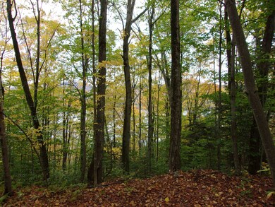 0 Foliage Ln, Westmore, VT 05822 - photo 4