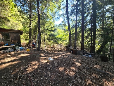 00 Panther Gap Rd, Honeydew, CA 95545 - photo 3