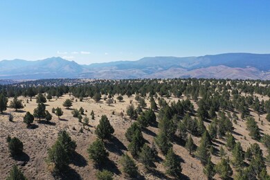 0 Tl 2400 Wiley Creek Rd, Mount Vernon, OR 97865 - photo 4