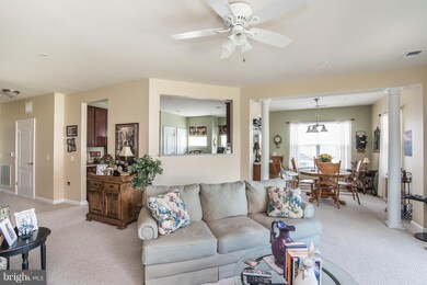 1410 Wigeon Way unit 207, Gambrills, MD 21054 - photo 6