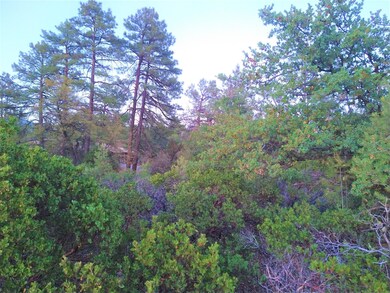 610 N Ponderosa Cir, Payson, AZ 85541 - photo 3