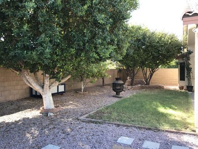 Back yard