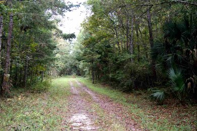 0 Owl Ln unit 1 287430, Wakulla, FL 32327 - photo 4