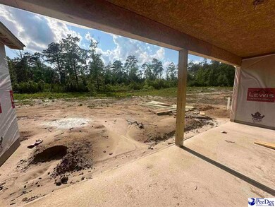 492 Cane Branch Rd, Loris, SC 29569 - photo 5