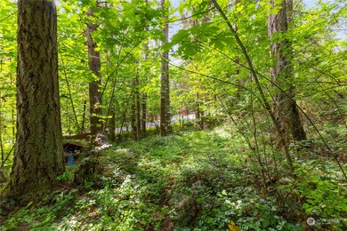 17937 Clear Lake Blvd SE, Yelm, WA 98597 - photo 2