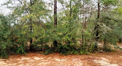 6002 Fiori Dr, Crestview, FL 32539 - photo 4