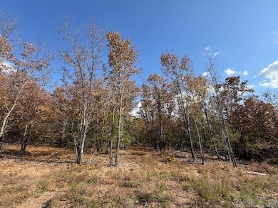 23 Summer Tyme Dr, Greenbrier, AR 72058 - photo 2