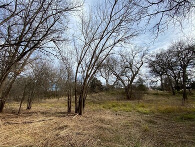 354 Lipan Trail, Horseshoe Bend, TX 76087 - photo 6