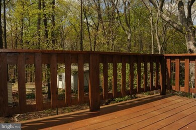 7004 Elkton Dr, Springfield, VA 22152 - photo 7