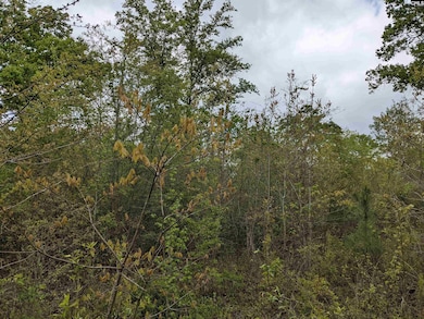 2206 Highway 1 S, Elgin, SC 29045 - photo 4