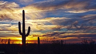 IMG_3134