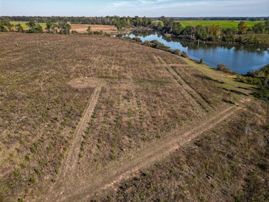 William Avera Rd, Morgan, GA 39866 - photo 4