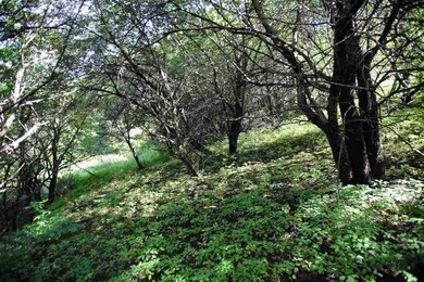 21 Old Mill Hill unit Lot 3, Northfield, VT 05663 - photo 6