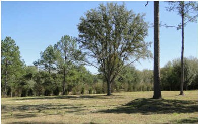 TBD Horizon St, Lake City, FL 32055 - photo 2