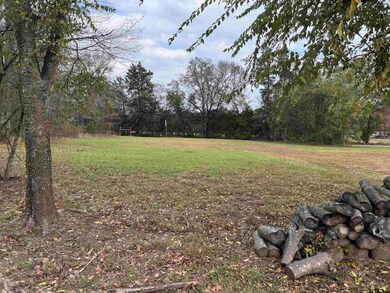 Lot 495, 496 San Saba, Mount Vernon, TX 75457 - photo 3