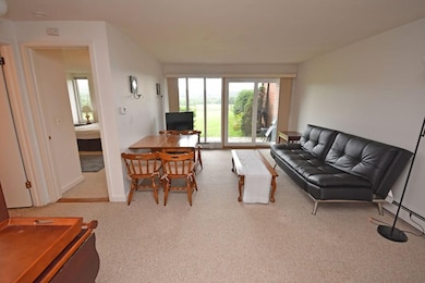 242 N East St unit 20, Amherst, MA 01002 - photo 4