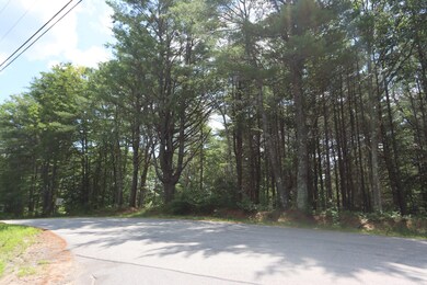 Road View