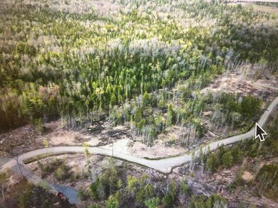 Lot #8 Hammond Brook Rd unit 8, Monson, ME 04464 - photo 4