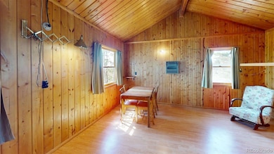 716 Doe St, Hartsel, CO 80449 - photo 4