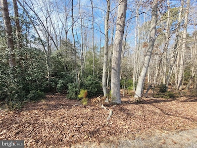 00A Bogey Neck Rd, Heathsville, VA 22473 - photo 3