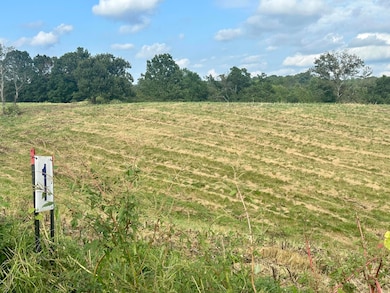 Tract 1 Pittsburg Landing Rd, London, KY 40741 - photo 3