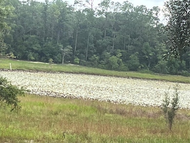 129 Viola Dr, Hawthorne, FL 32640 - photo 2