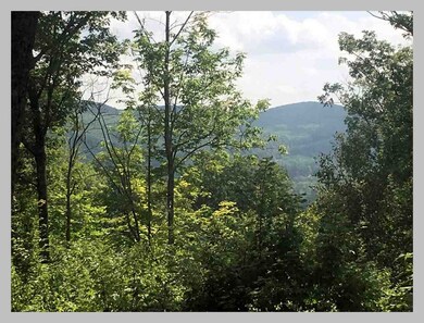 13 Point of View Dr, Plymouth, NH 03264 - photo 4