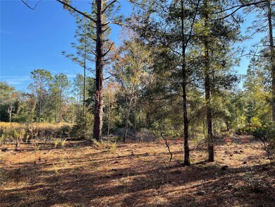 9650 NE 80th St, Bronson, FL 32621 - photo 2