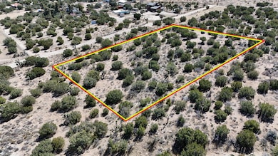 E 06. DJI_20250323122852_0098_D