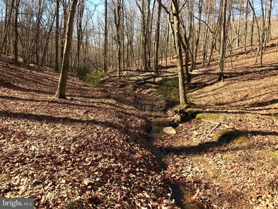 0 Beech Ln unit 1000232394, Baker, WV 26801 - photo 3