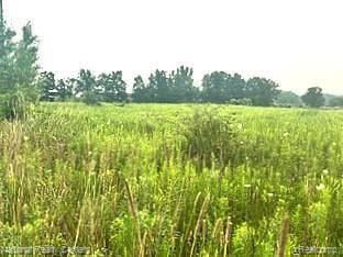 00 W Vogt Rd, Conway Township, MI 48836 - photo 5