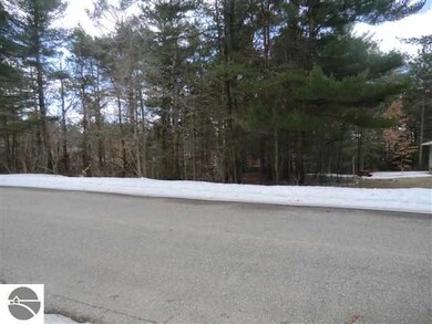 0 Brook Ave unit 1785391, Kaleva, MI 49645 - photo 7