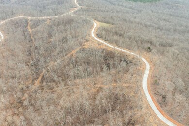 62 Vista Ridge, Stewart, TN 37175 - photo 5