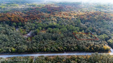 0 Rose Bloom Lot 7 Ave unit 2256782, Webster, FL 33597 - photo 7