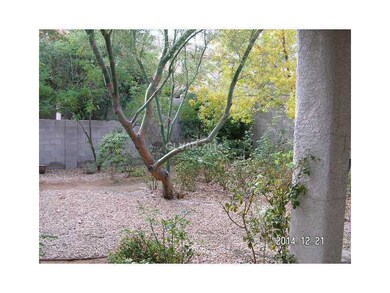 Property Photo. Rear Yard