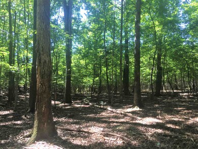 000 W Third St, Siler City, NC 27344 - photo 2