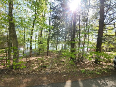 Lot #006 Trickey Pond Rd, Naples, ME 04055 - photo 4