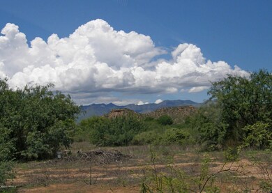 The Whetstone Mountains to west