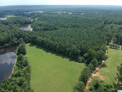 0 Highway 51 unit 1, Greensboro, AL 36744 - photo 4