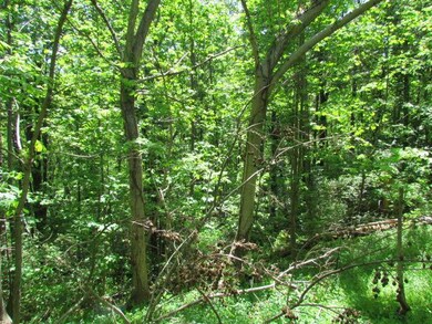 Sequatchie Mtn Road