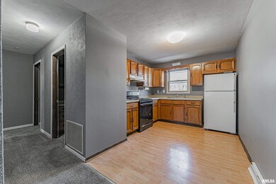 102 E 8th St, Delavan, IL 61734 - photo 4