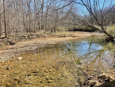 1 Old Clarksville Pike, Chapmansboro, TN 37035 - photo 4