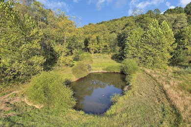 18522 Krafter Rd, Laurelville, OH 43135 - photo 4